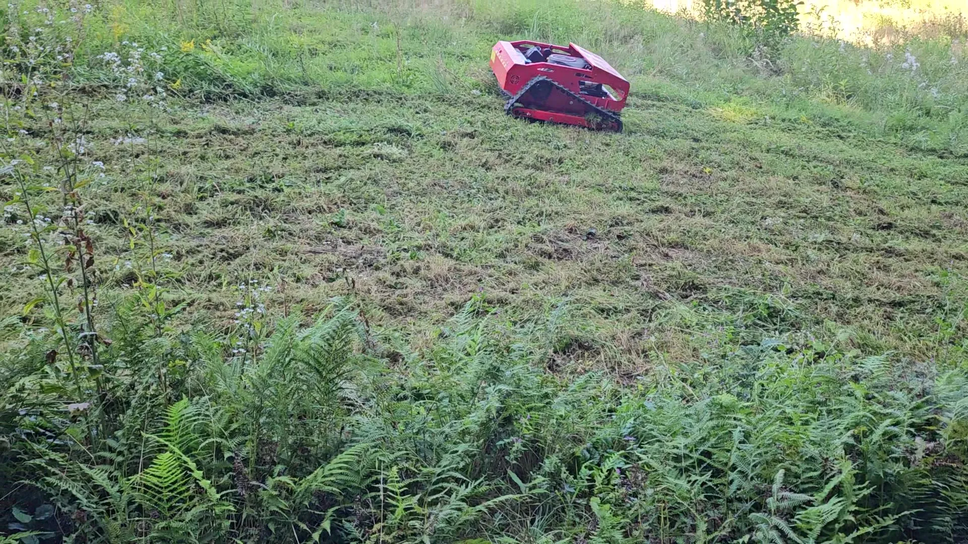 Košnja bregov z robotom – Felicior, Vurberk